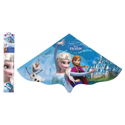 Vlieger frozen